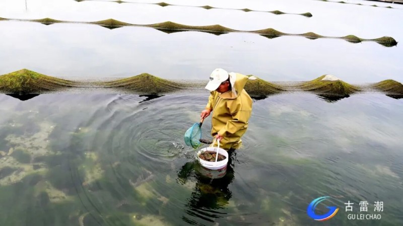 d9a4a573-e0c3-45d5-887b-62f603f9ce1a