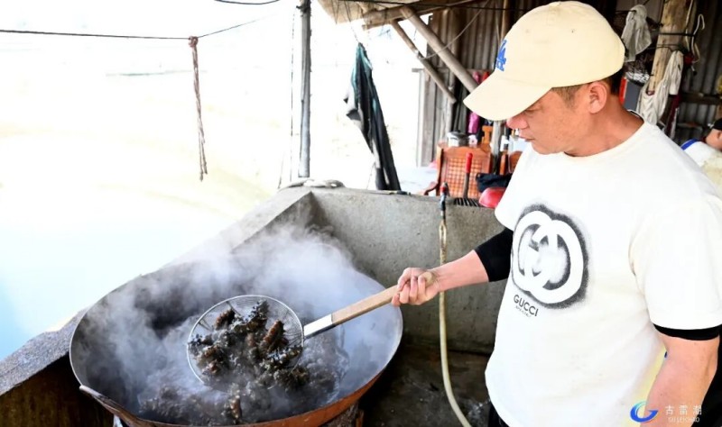 ae2c374d-3595-4b1e-85e7-7217025d3399