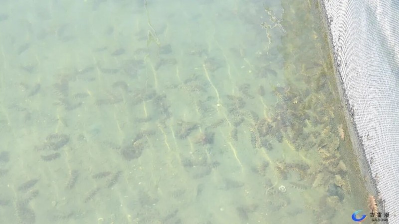 c53bd2fb-ee80-42eb-82a5-9884eb190030