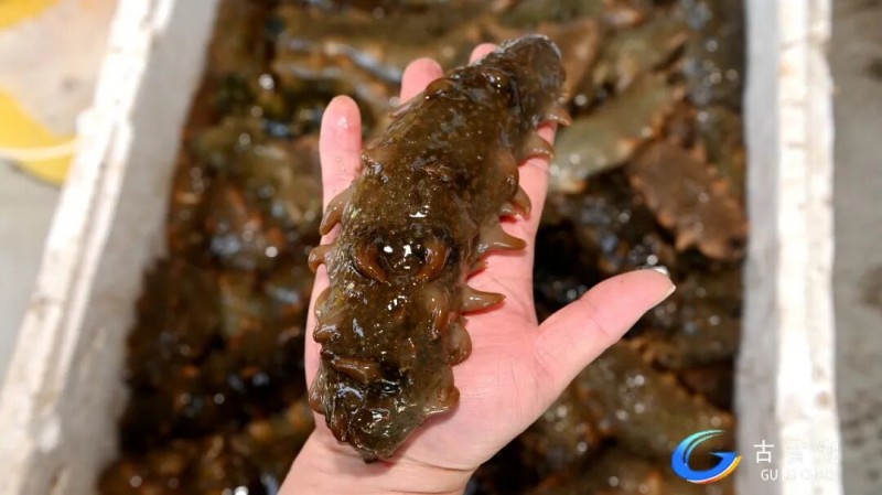 b9fc12eb-6e10-4919-af56-60b55c208bc4