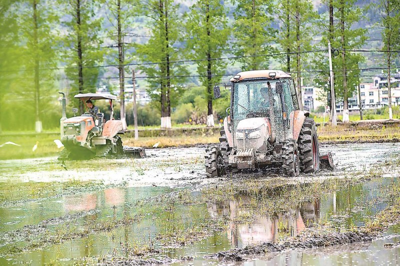 南平市松溪县迎来春耕关键期。王德锋 摄