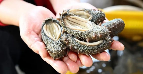 紧实Q弹，霞美这道“海洋珍品”上市了！