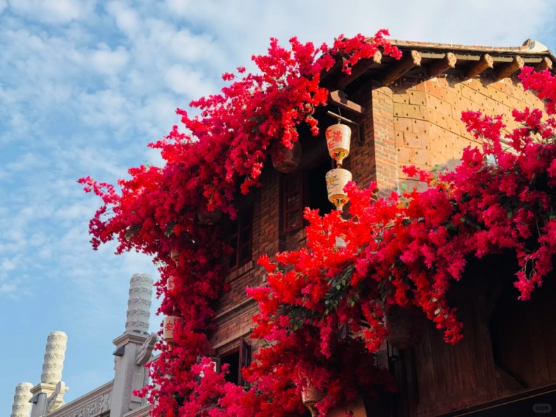 本周五(4月10日)晚,湄洲日报主播将走进兴化府历史文化街区,正式开启《我在古街学手艺》第一期直播,带你解锁传统与潮流碰撞的乐趣。