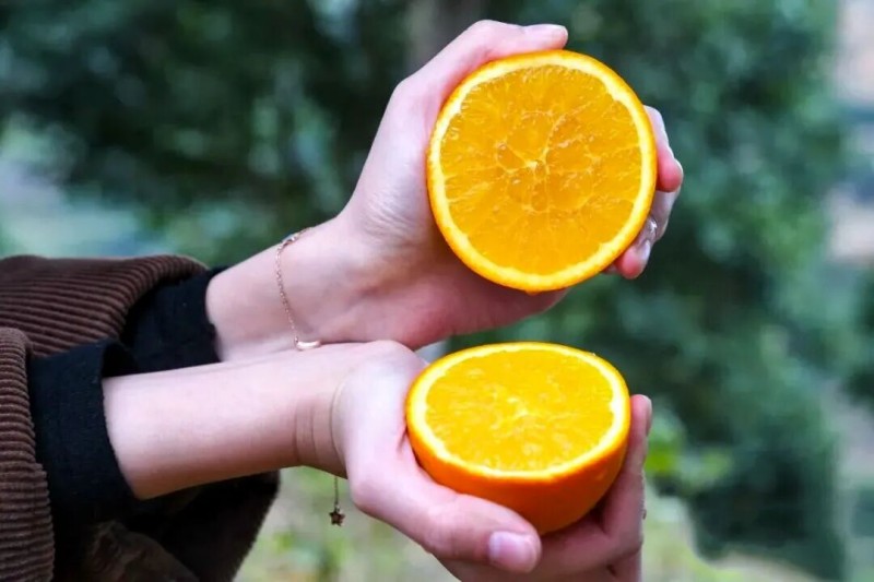 ▲饱满多汁的脐橙•陈秋霞/摄