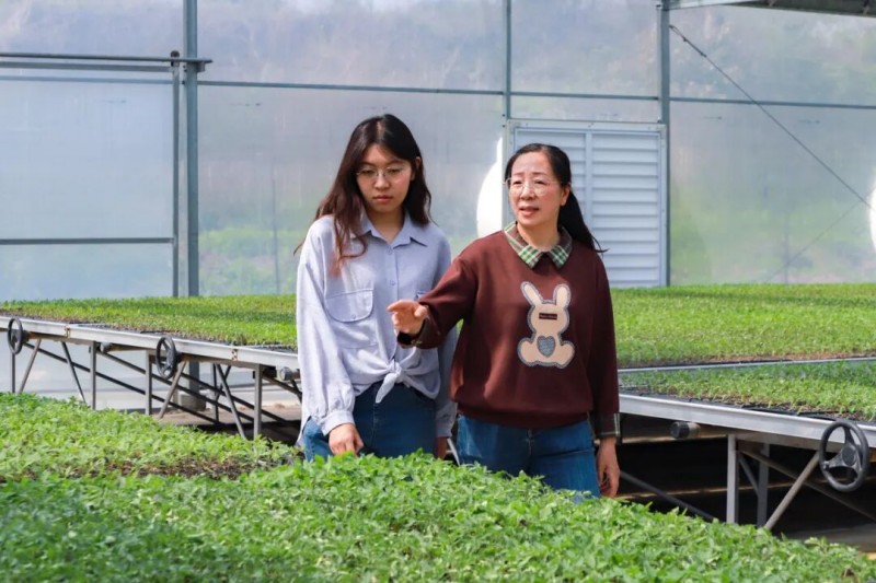 女儿张尹慈毕业后接过母亲手中的“种苗接力棒”，传承助农初心。连江县融媒体中心供图