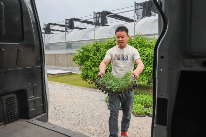 基地培育的种苗，成为农户信赖的“放心苗”。连江县融媒体中心供图