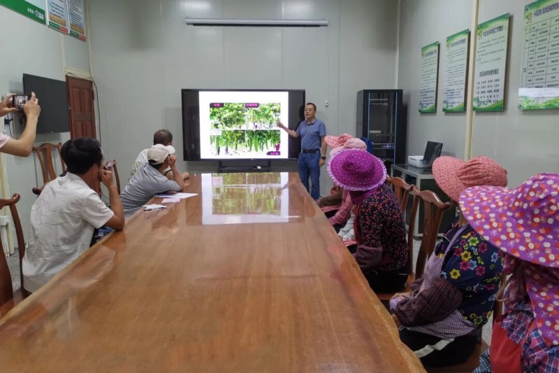 工作人员给农户传授栽培方法等知识（资料图）。连江县融媒体中心供图