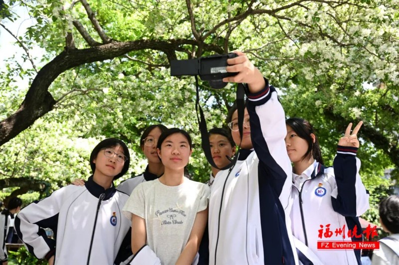学生们在福州十六中流苏广场合影。记者 叶诚 摄