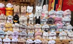 别拦！我要去莆田古街直播间“蹲”手艺！