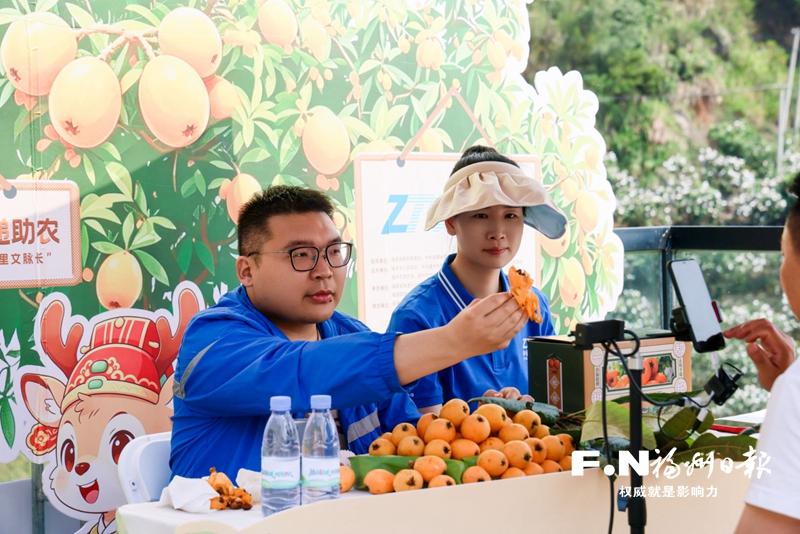 枇杷坐上无人机下山只要五分钟 “福品福递”开启空地协同鲜运新模式