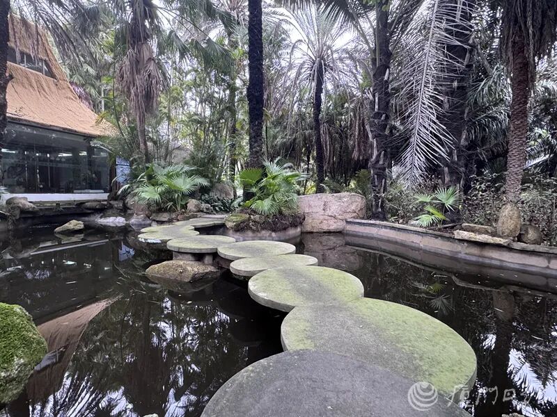 都是在厦门拍的！1986版《西游记》同款镜头又火了