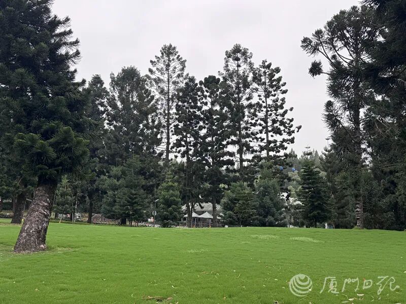 都是在厦门拍的！1986版《西游记》同款镜头又火了