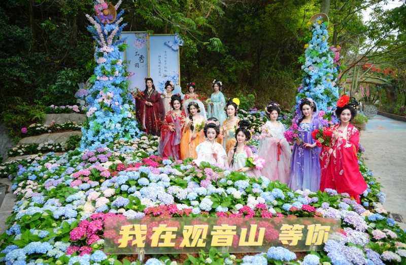 “賞花經(jīng)濟(jì)”中的“福山”：東莞觀音山把春天玩出了新高度