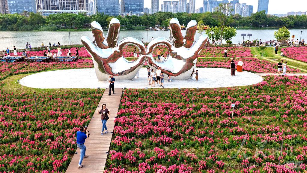 游客在福建漳州高新区龙江岁月园区踏青赏花。