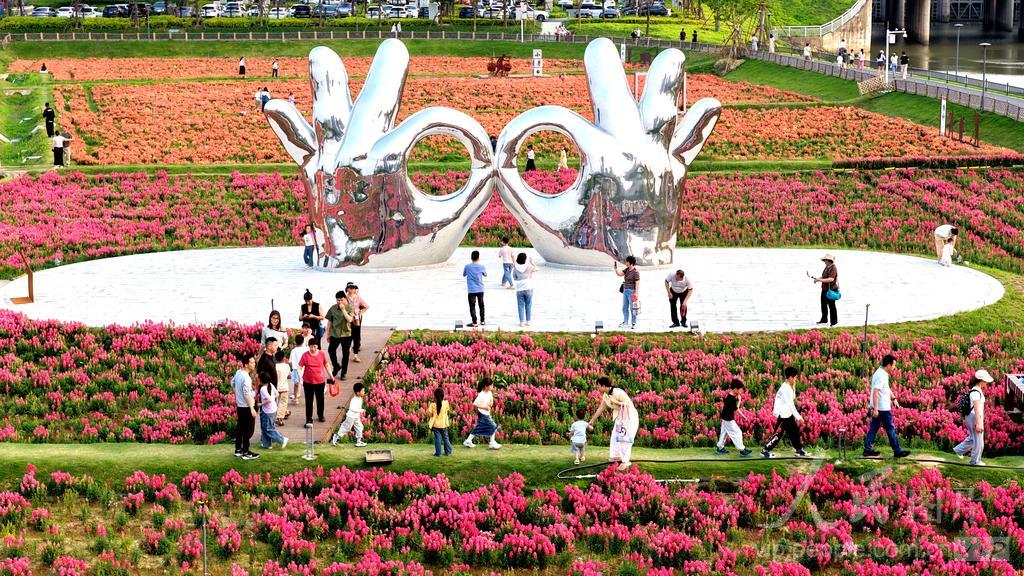 游客在福建漳州高新区龙江岁月园区踏青赏花。