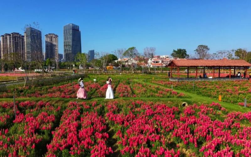 市民在龙江岁月景区游玩。