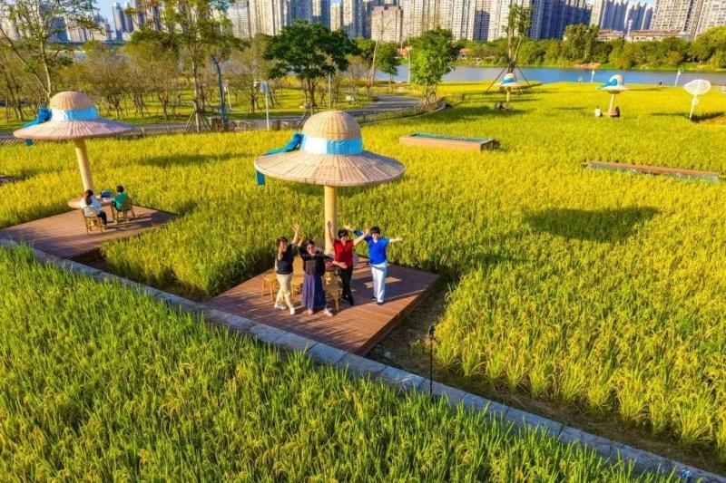 游客在福建漳州高新区龙江岁月园区踏青赏花。