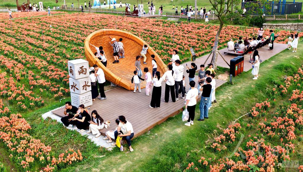 游客在福建漳州高新区龙江岁月园区踏青赏花。