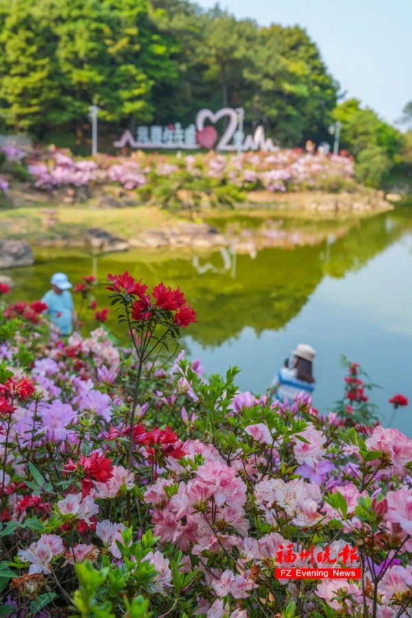 “天池”沿线，各色杜鹃沿驳岸绽放，层层叠叠、错落有致，形成“水中看花”的绝美意境。