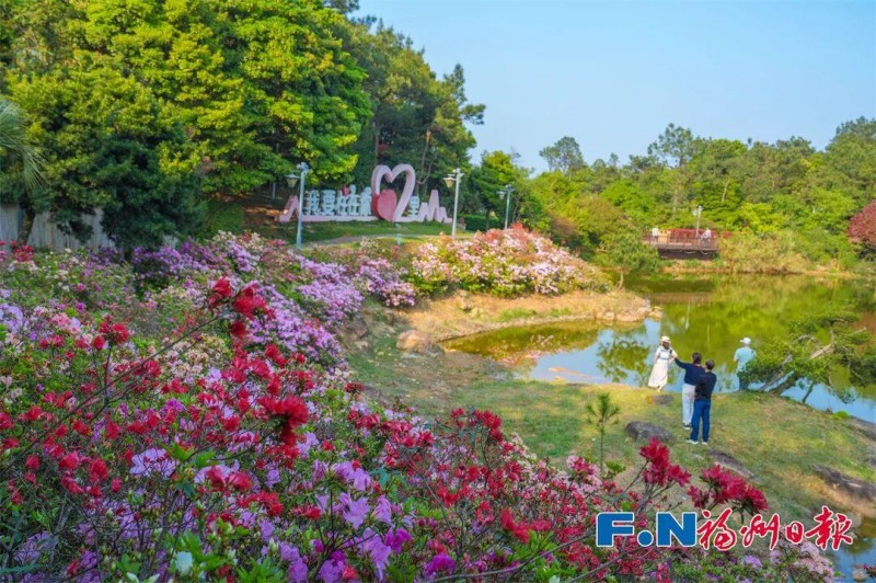 漫步杜鹃谷，层层叠叠的花海自然延伸，织就出一条绚丽的“杜鹃长廊”。