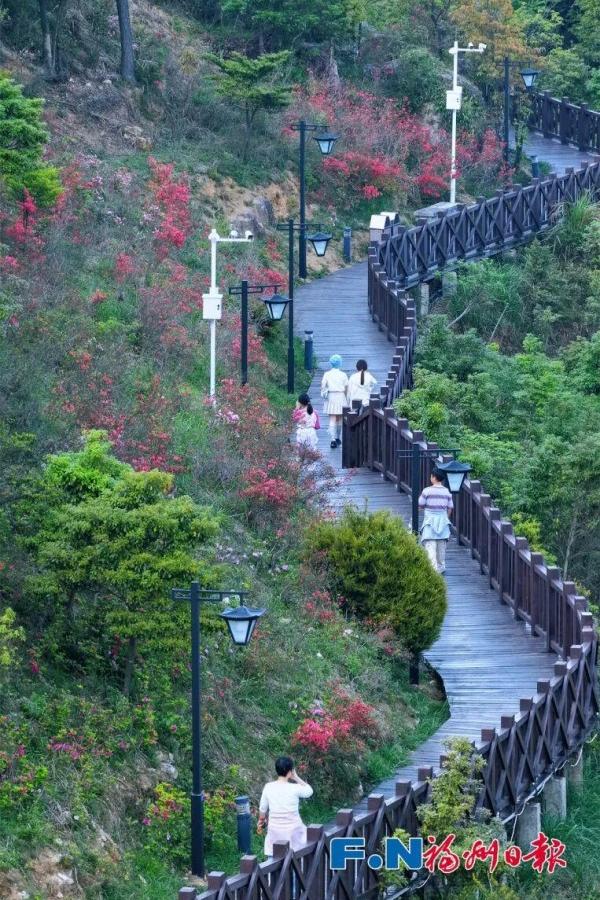 顺着环柱岗顶游步道一路向上，流苏径、揽月亭观日台、柱里露营地等景点串珠成线。