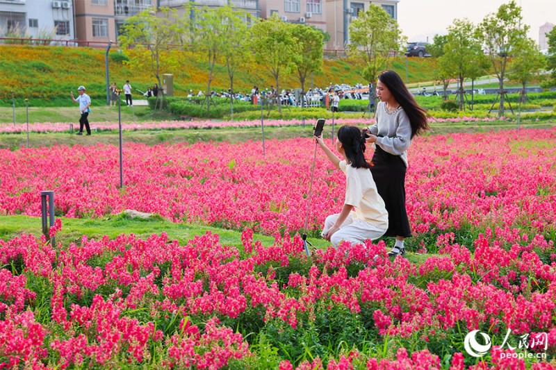 市民游客在花田中拍照打卡。人民网记者 焦艳 摄