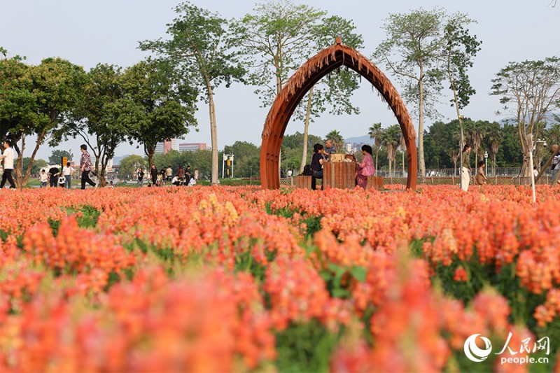 市民在龙江岁月景区游玩。人民网记者 焦艳 摄