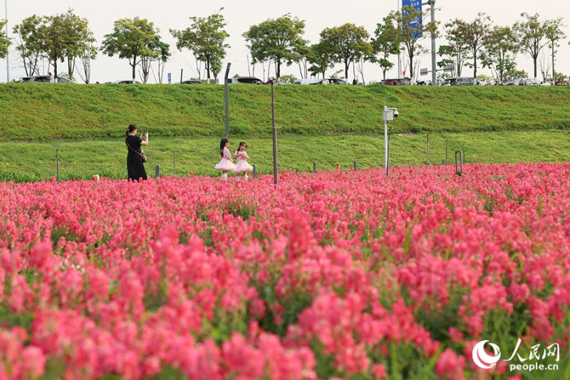 市民在龙江岁月景区游玩。人民网记者 焦艳 摄