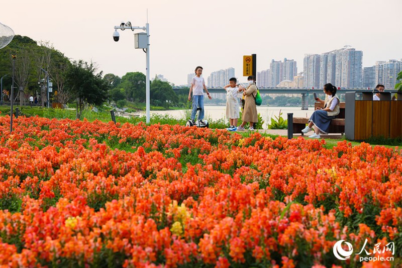 小朋友在龙江岁月景区游玩。人民网记者 焦艳 摄