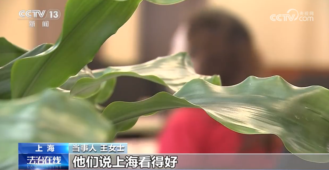 央视曝光!从医生到病人全是演员!19人全部落网 央视曝光!从医生到病人全是演员!19人全部落网