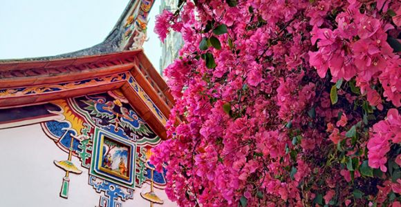 福建厦门：古厝繁花醉春光