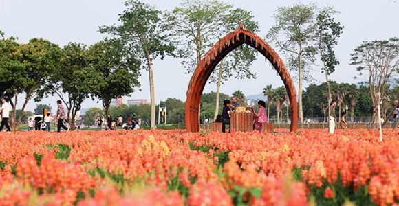 福建漳州：龙江岁月景区“花花世界”藏不住了！