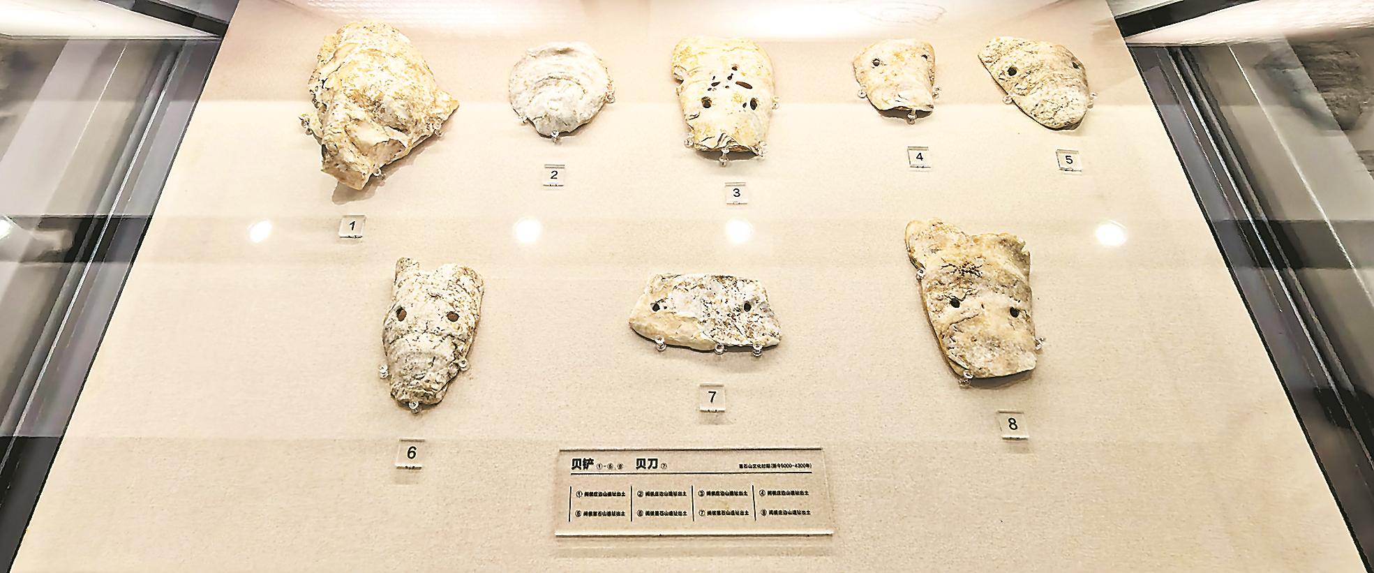 �������������ӱ��ɷ����� ���н��е���ҵ���Һ���