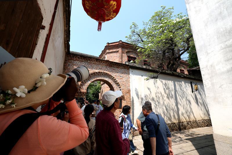 洁白如雪，馨香四溢的百年流苏，吸引市民和游客驻足观赏、拍照留念。