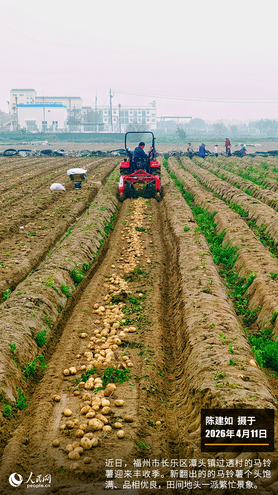 “遇见福建之美”栏目：聚焦福建一周大事记