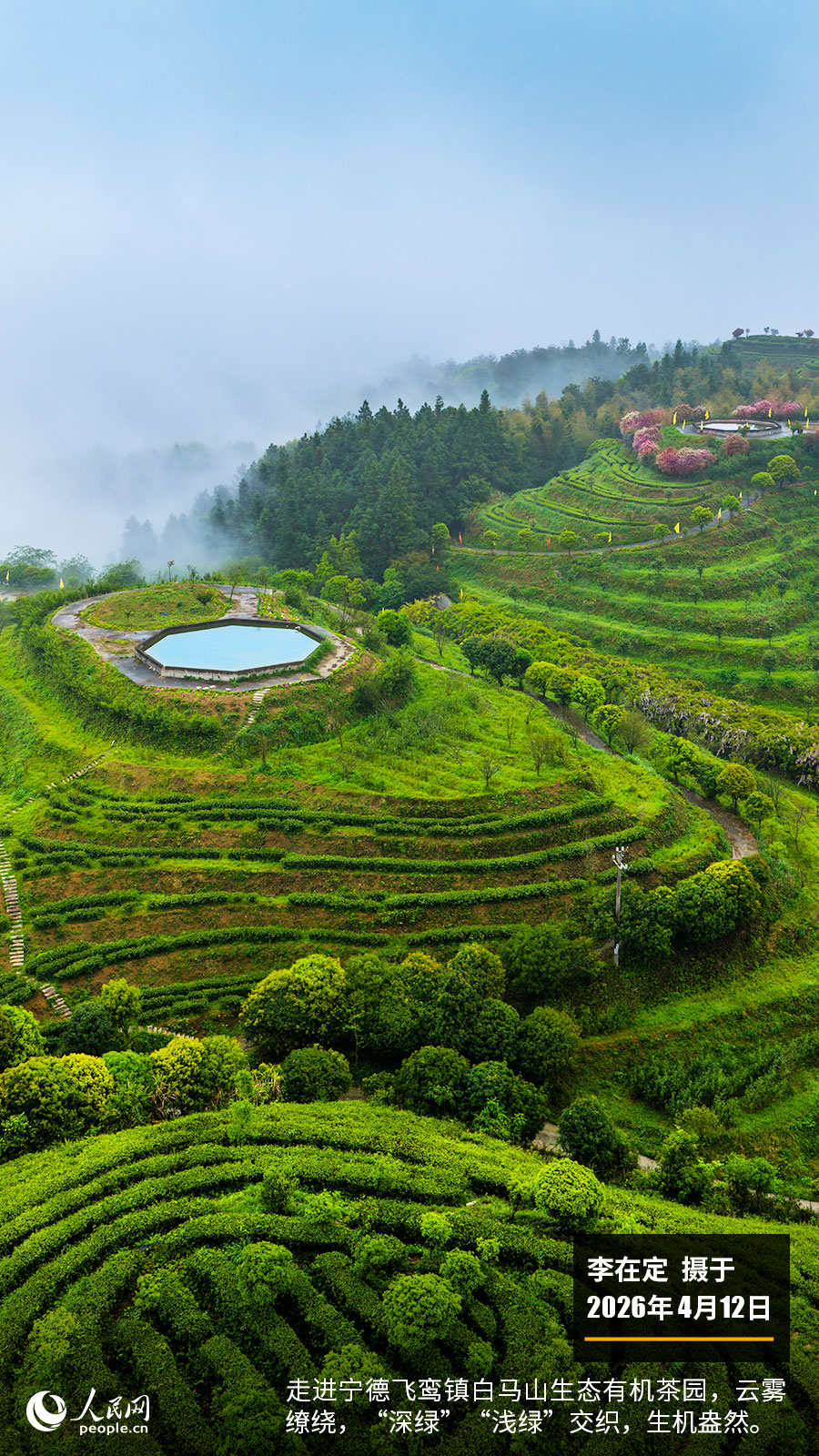 “遇见福建之美”栏目：聚焦福建一周大事记