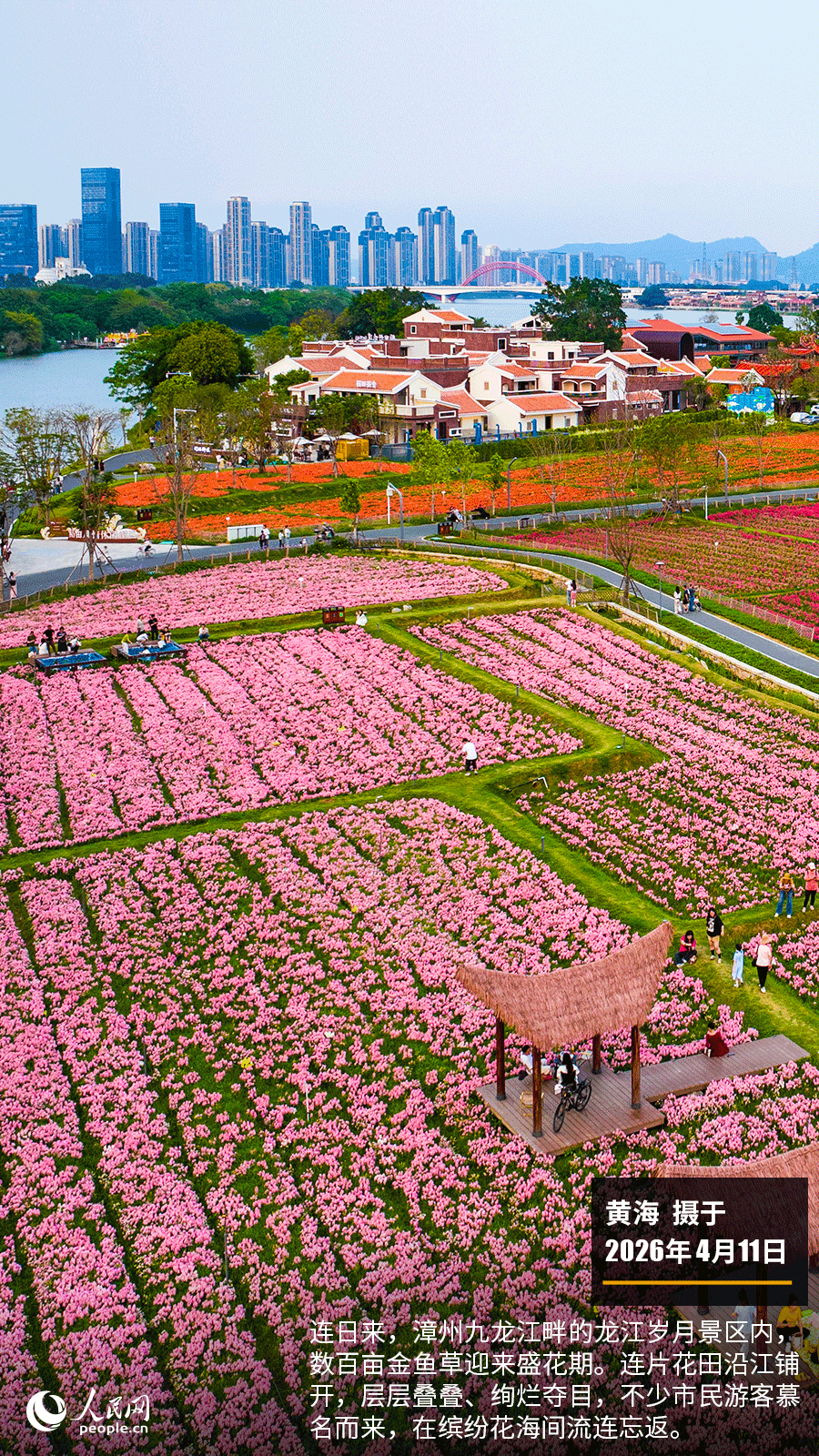“遇见福建之美”栏目：聚焦福建一周大事记