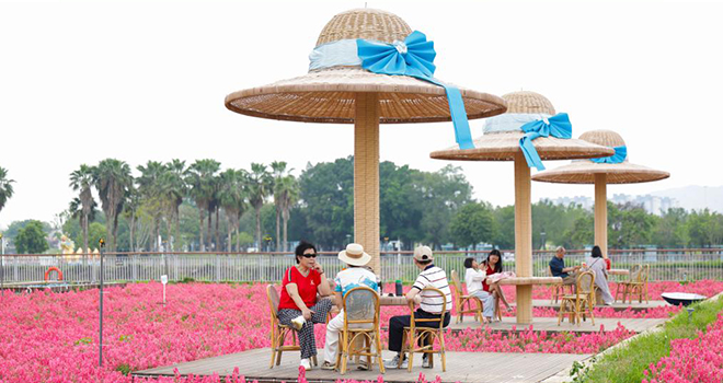 福建漳州:昔日滩涂换新颜 生态岸线入画来