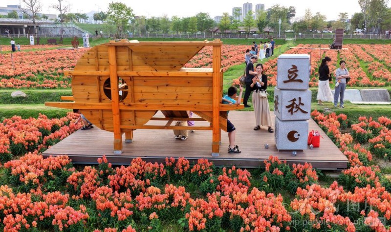 4月11日，游客在福建省漳州市高新区龙江岁月景区游玩。