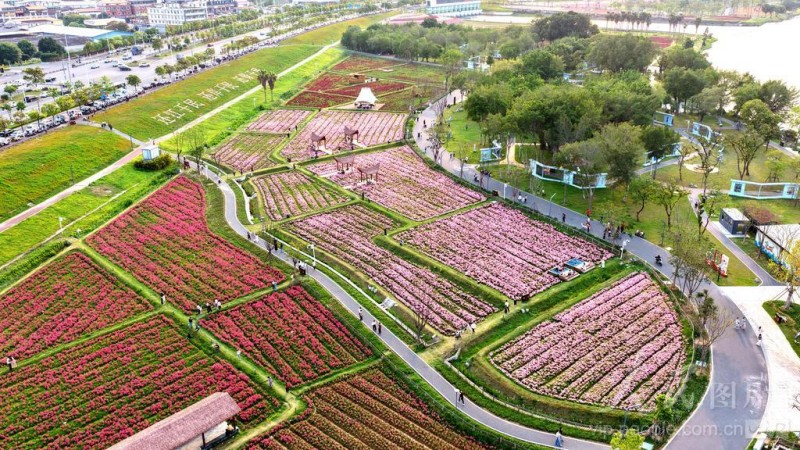 4月11日，游客在福建省漳州市高新区龙江岁月景区游玩。