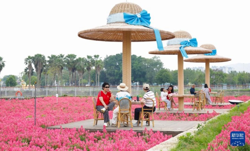 4月11日，游客在福建漳州龙江岁月景区休闲。新华社记者 邓华 摄