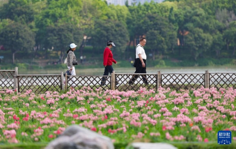 4月11日，游客在福建漳州龙江岁月景区游玩。新华社记者 邓华 摄