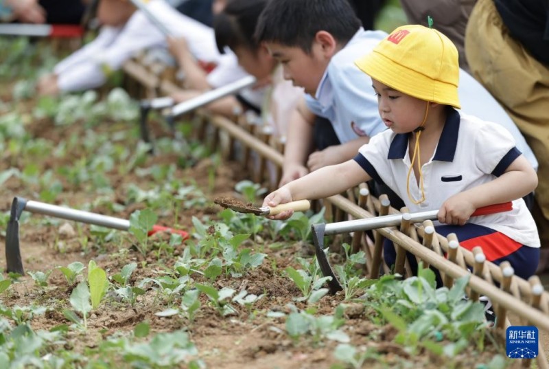 4月11日，小朋友在福建漳州龙江岁月景区的共享菜园体验农事。新华社记者 邓华 摄