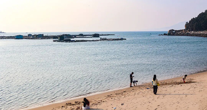 太鲜了!福州连江“海鲜盲盒”来了!