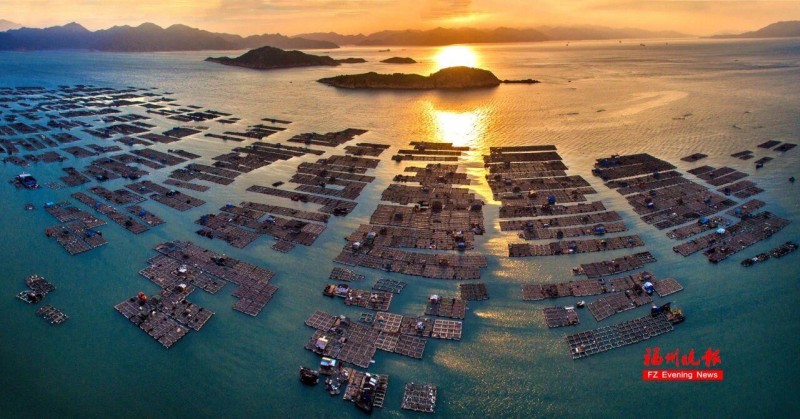 东洛村鲍鱼养殖“牧场”。郑成乐 摄