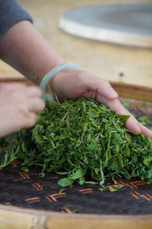 采摘下来的新鲜茶青，会第一时间运往加工车间，经过晾青（萎凋）——揉捻——发酵——上焙等工艺制作，最大程度保留茶叶本真滋味。