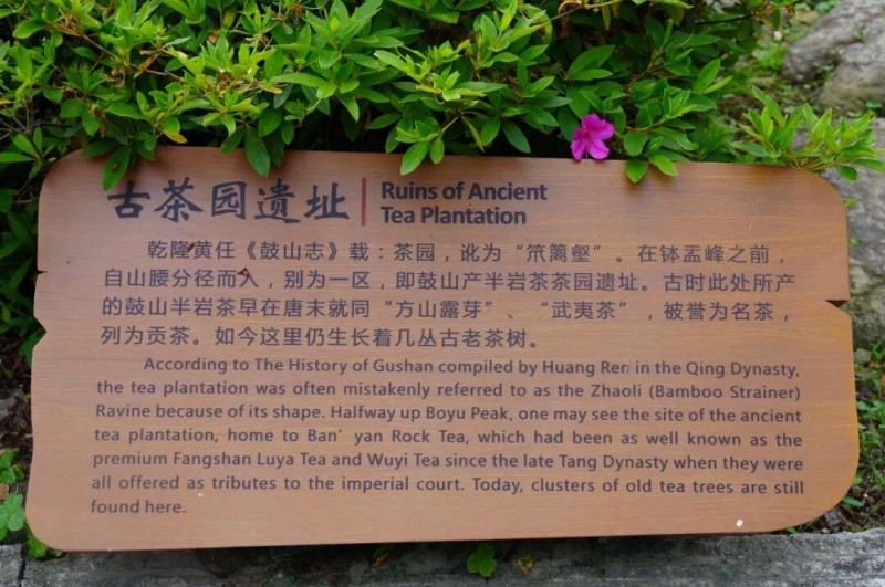 鼓山仍保留有茶亭遗址、天心岩茶山记事石碑、半岩茶旧茶园遗址、水晶山茶园、五贤祠等茶文化遗存。