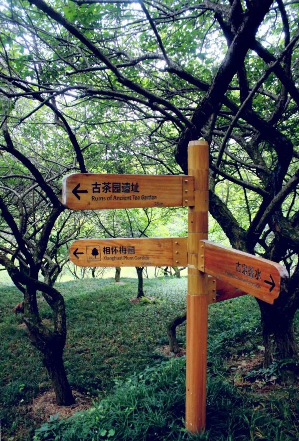 鼓山仍保留有茶亭遗址、天心岩茶山记事石碑、半岩茶旧茶园遗址、水晶山茶园、五贤祠等茶文化遗存。