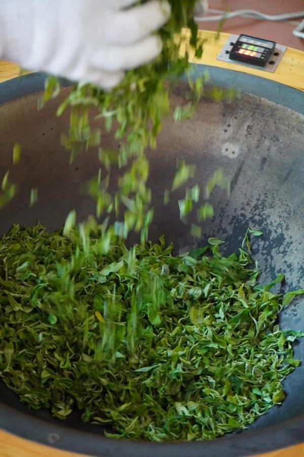 采摘下来的新鲜茶青，会第一时间运往加工车间，经过晾青（萎凋）——揉捻——发酵——上焙等工艺制作，最大程度保留茶叶本真滋味。