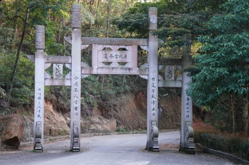 鼓山仍保留有茶亭遗址、天心岩茶山记事石碑、半岩茶旧茶园遗址、水晶山茶园、五贤祠等茶文化遗存。